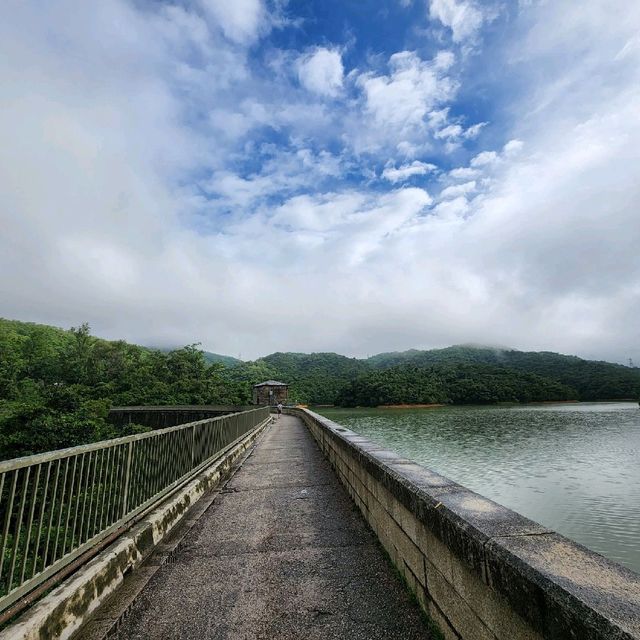 金山九龍水塘