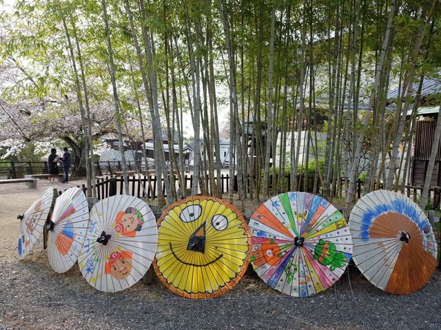 四國愛媛縣必參觀打卡的名城｜松山城