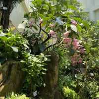 熱帶植物展覽館@霍士傑溫室