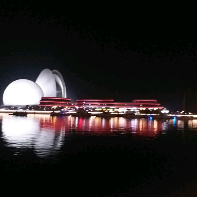 日月貝的日與夜