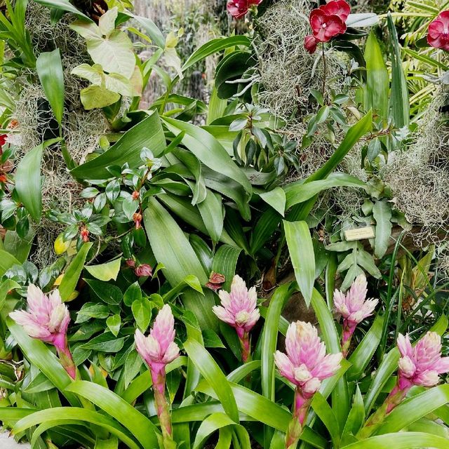 Floral Fantasy At Gardens By The Bay