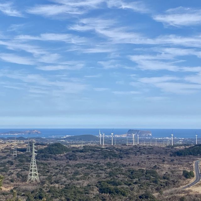 스누피 가든 근처에 있는 백약이오름🏔어린이들도 올라가기 쉬워요🙌