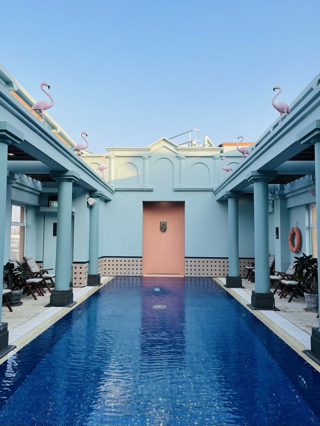 在香港的摩洛哥之旅🇲🇦🇭🇰 #greenstaycation 在香港的摩洛哥之旅🇲🇦🇭🇰 #greenstaycation