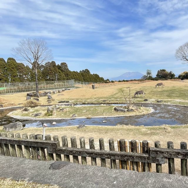 平川動物公園【鹿児島県/鹿児島市】