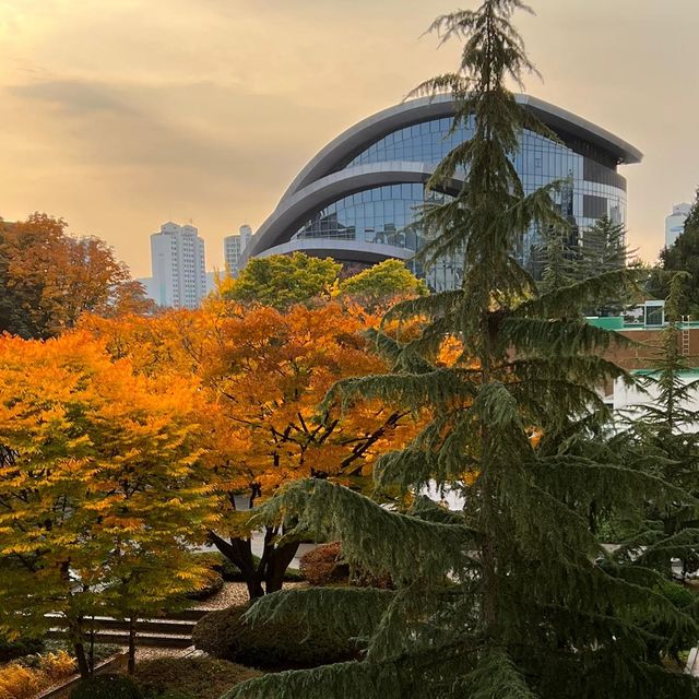 Autumn in Samsung Library