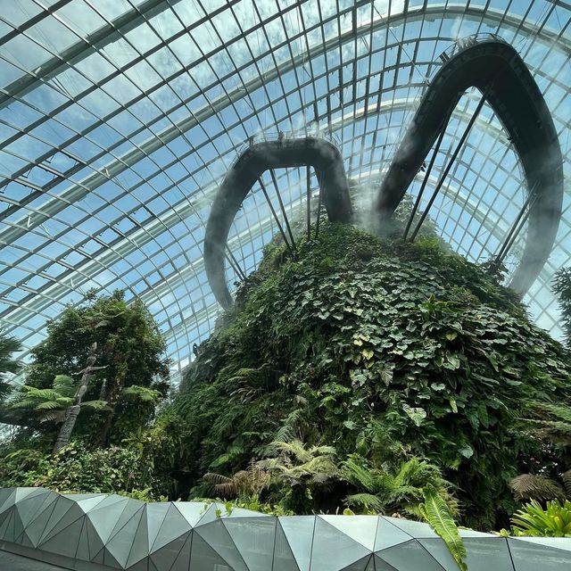 Garden by the bay @ Singapore
