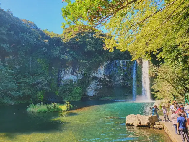 천지연폭포 💙 제주도 피크닉