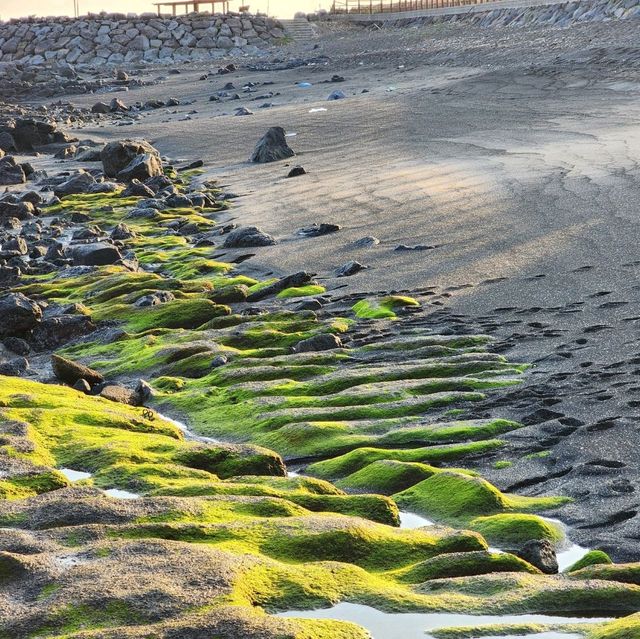 제주 서귀포시 사계해변🌊