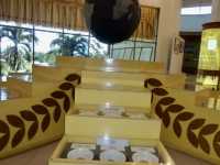 Muzium Padi