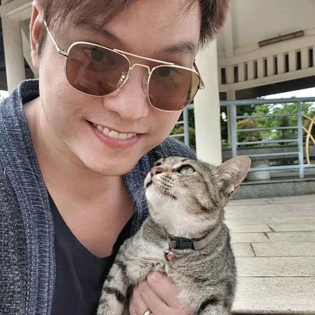 ที่นี่....น้องแมวคุม🐱🐈🌳