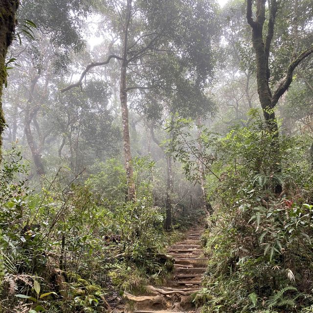 📍 Mt. Kinabalu, Sabah
