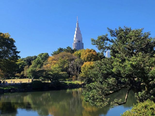 산책하기 좋은 도쿄 여행지 신주쿠교엔🌳