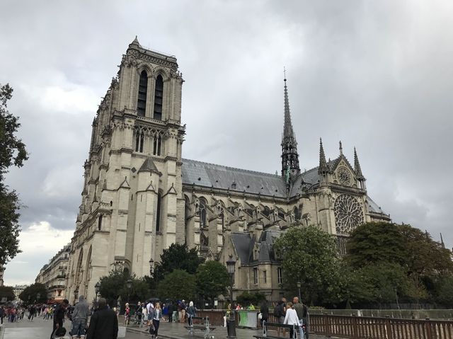 フランス🇫🇷 火災からの修復が行われているノートルダム大聖堂をご紹介