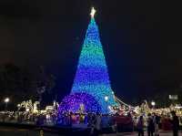 Christmas Attraction #11: The Biggest Outdoor Christmas Tree