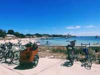 Rottnest Island!😎 Beachin’ The Beach!🤪