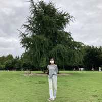 텍스쳐 성수, 그리고 서울숲