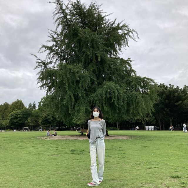 텍스쳐 성수, 그리고 서울숲