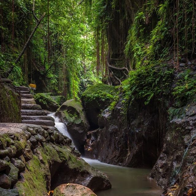 Monkey Forest, Bali