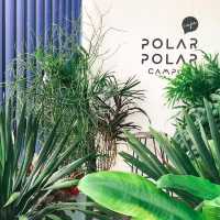 POLAR POLAR​ CAMPUS​ CAFE