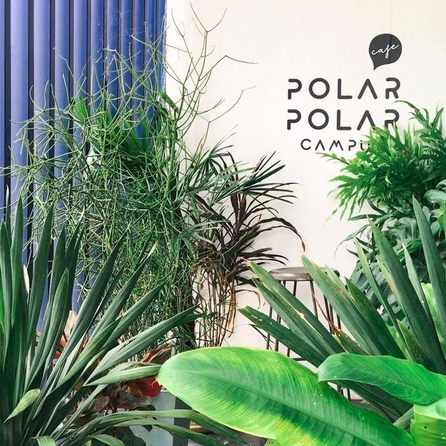 POLAR POLAR​ CAMPUS​ CAFE