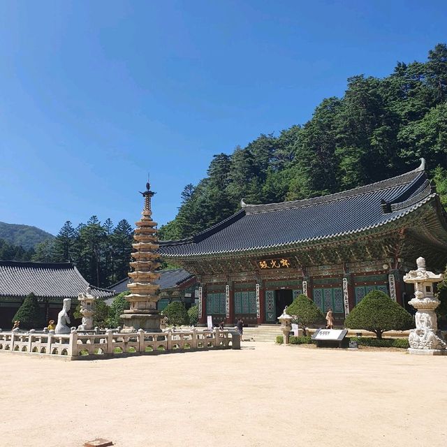 평창 여행 - 월정사