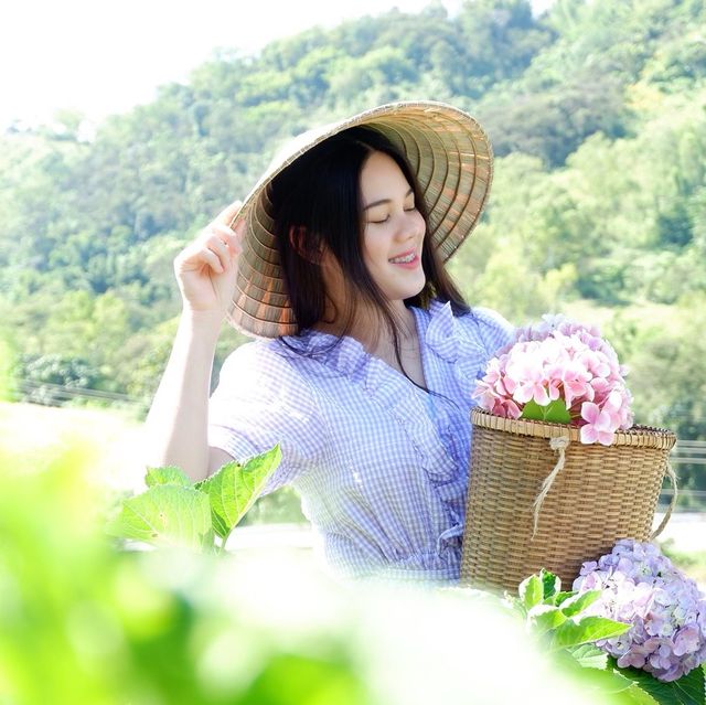 ไปภูทับเบิกครั้งแรก