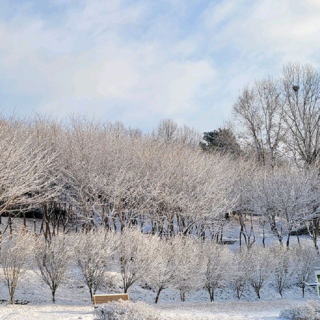 지산공원