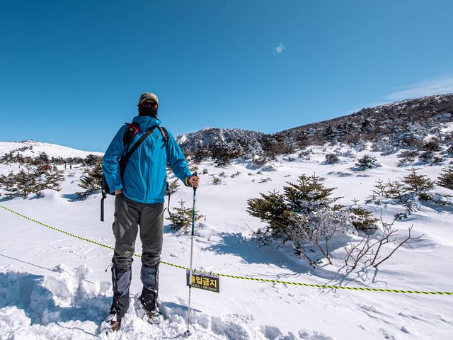 한라산은 어리목 코스가 짱이죠👍