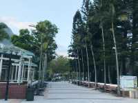 蝴蝶灣公園