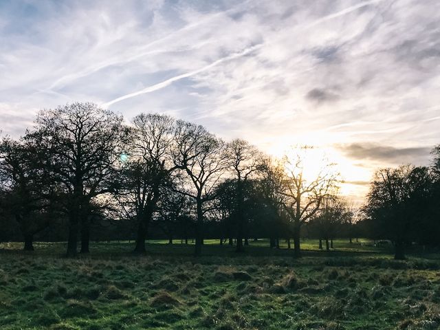 英國Nottingham Wollaton Park - 蝙蝠俠與小鹿