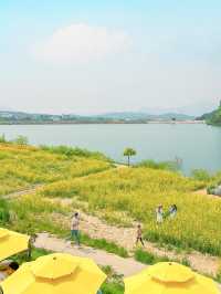 경주에서 유채꽃 풍경 제일 예쁜 카페🌼