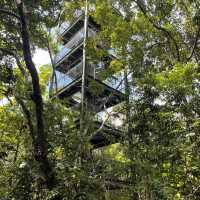 MacRitchie Reservoir and TreeTop Walk! 🌴🍃☀️