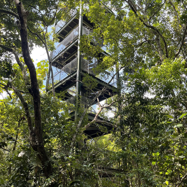 MacRitchie Reservoir and TreeTop Walk! 🌴🍃☀️
