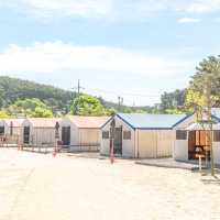 여름엔 자리가 없어서 못 간다는 캠핑장🏕