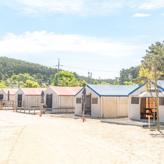 여름엔 자리가 없어서 못 간다는 캠핑장🏕