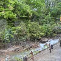 【秋田】秘湯乳頭温泉♨️妙乃湯の湯上がりカフェ