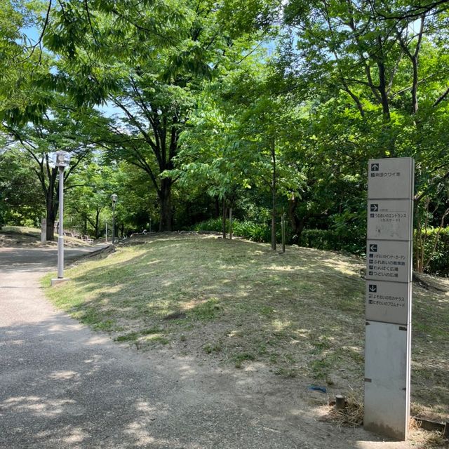 江坂公園めちゃくちゃ広すぎる😳⸜🌷︎⸝‍