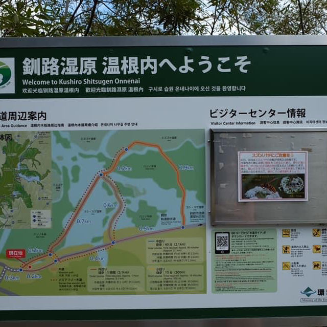 日本第一大濕原｜北海道釧路濕原