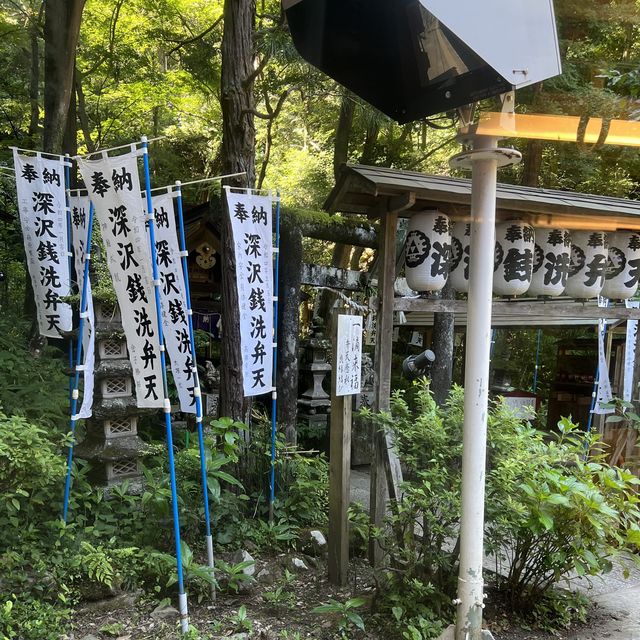 【神奈川】紫陽花を見ながら電車の旅