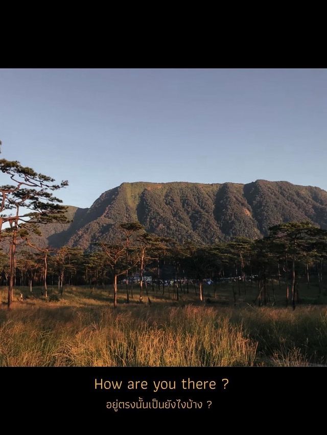 ครั้งหนึ่งเคยพิชิตยอด"ภูสอยดาว"⛰