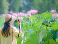 여름 더운만큼 예쁘다 연🌸