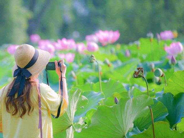 여름 더운만큼 예쁘다 연🌸