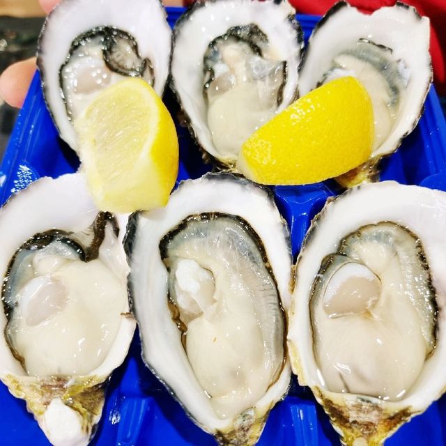 Super fresh huge Oysters