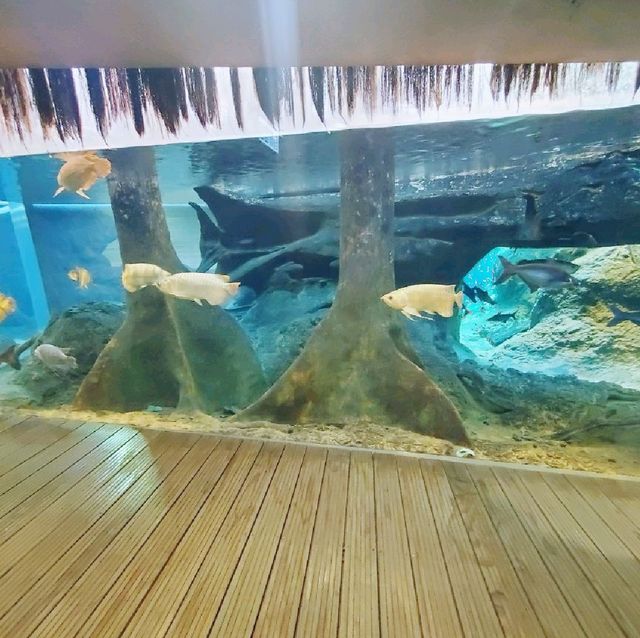 生態之旅 - 香港濕地公園