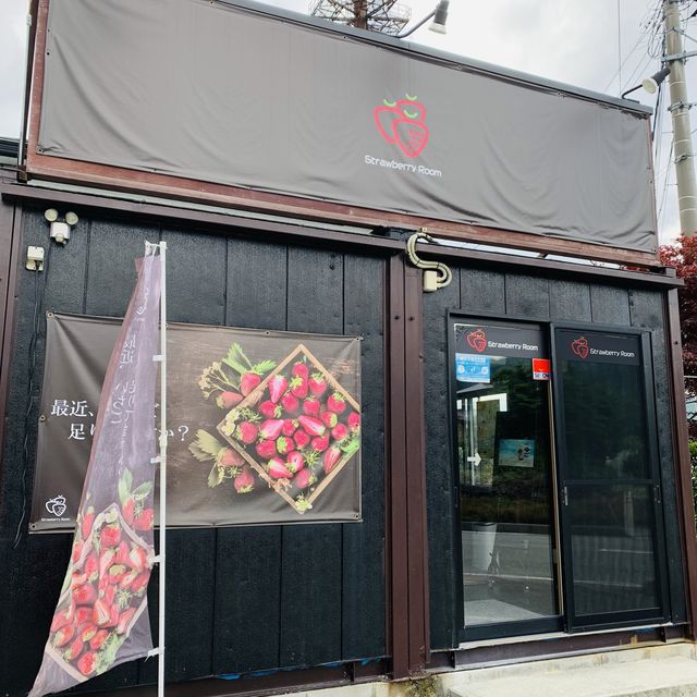 【山形】いちごたっぷり　"Strawberry Room "