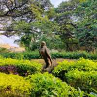 Amazing Garden with so much Greenery. 