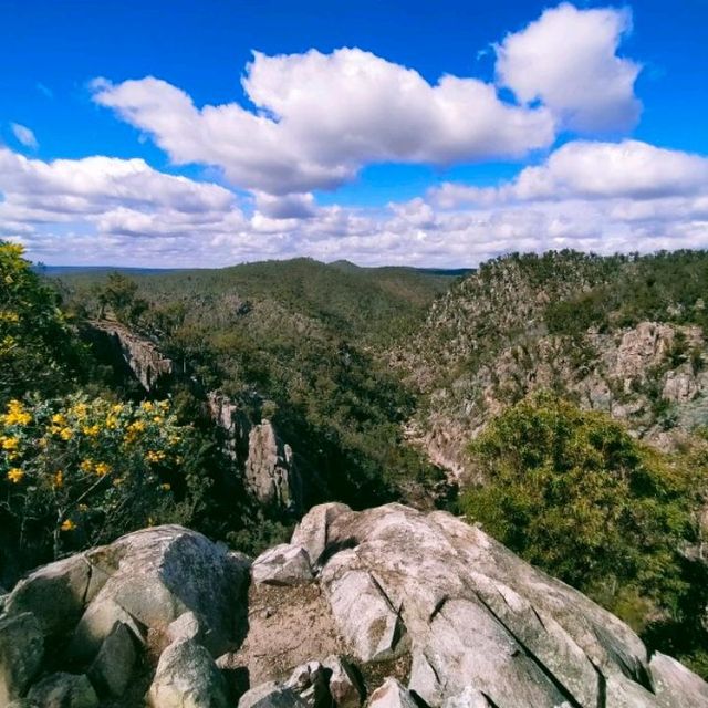 Crows Nest, a gem in the bush