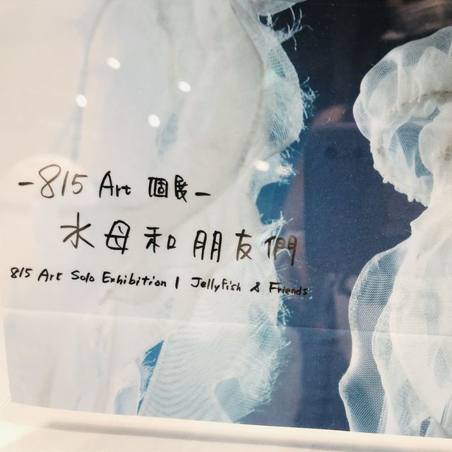 💙🤍815Art纖維藝術創作展《水母和朋友們》📍REHOW LIVING LAB 反覆生活實驗室♻️