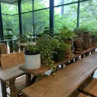 Organic Coffee Cafe in Bangkok
