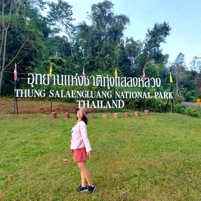 ทุ่งแสลงหลวง หนองแม่นา